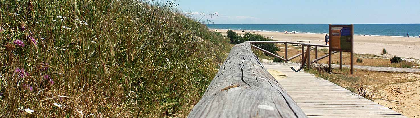 slide_33539976744_be8f841451_k.jpg - slide_33539976744_be8f841451_k.jpg