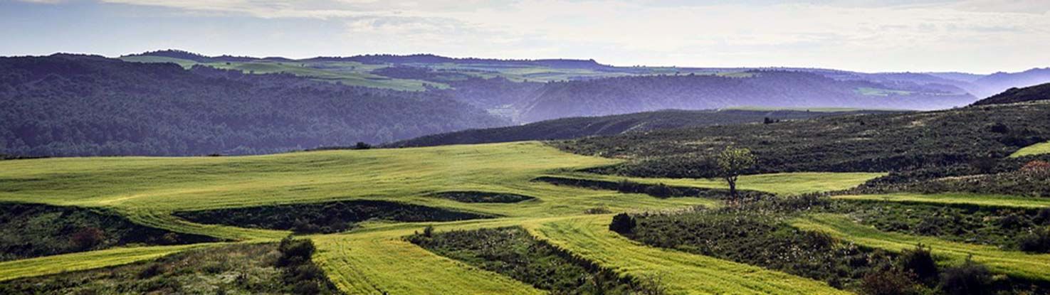 slide_fields_1369641_960_720.jpg - slide_fields_1369641_960_720.jpg