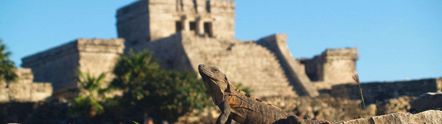 slide3_sylvie_charron_hDYZyZLAG2I_unsplash.jpg - slide3_sylvie_charron_hDYZyZLAG2I_unsplash.jpg