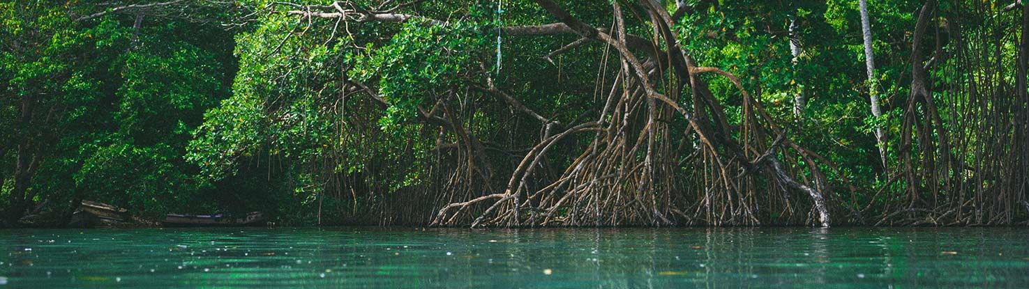 slide2.jpg - slide2.jpg