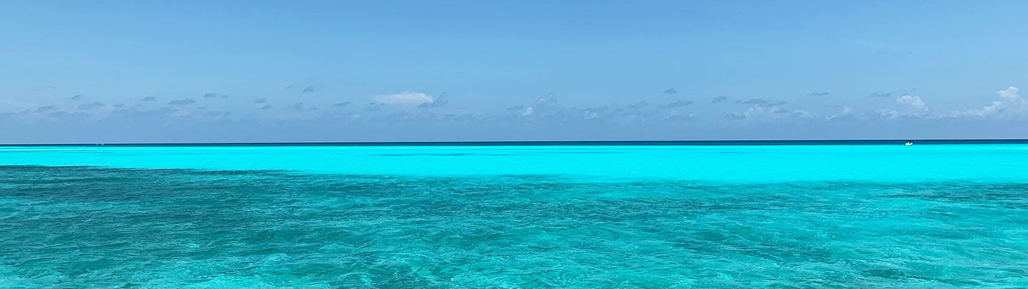 slide3_fernando_jorge_ezsxZYHtfWs_unsplash.jpg - slide3_fernando_jorge_ezsxZYHtfWs_unsplash.jpg