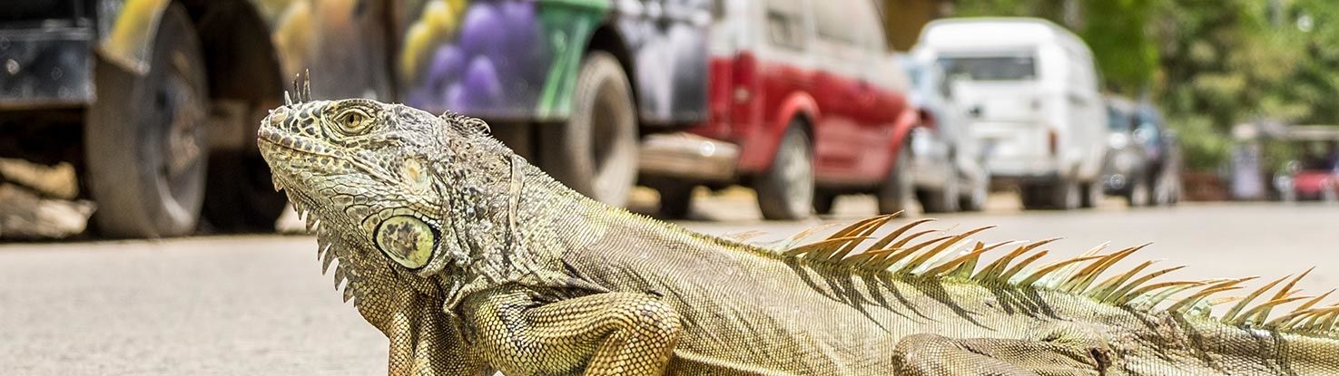 slide3_eric_anderson_850xDffGDkk_unsplash.jpg - slide3_eric_anderson_850xDffGDkk_unsplash.jpg