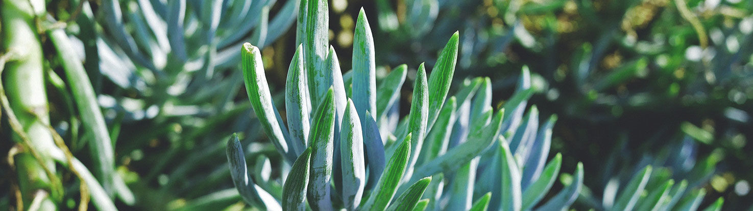 slide2_andrea_macias_QLlnSOF6PJ4_unsplash.jpg - slide2_andrea_macias_QLlnSOF6PJ4_unsplash.jpg