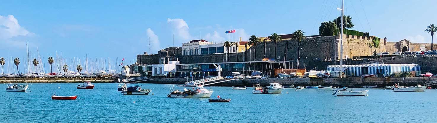 slide1_alice_butenko_aL1asE3qrz4_unsplash.jpg - slide1_alice_butenko_aL1asE3qrz4_unsplash.jpg