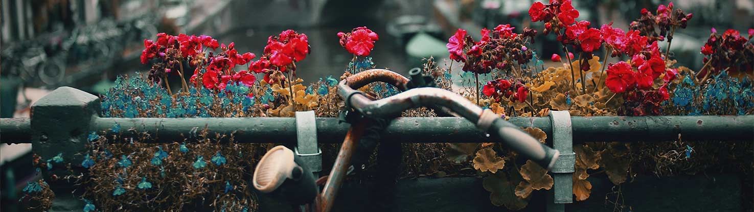 slide_1_amsterdam.jpg - slide_1_amsterdam.jpg