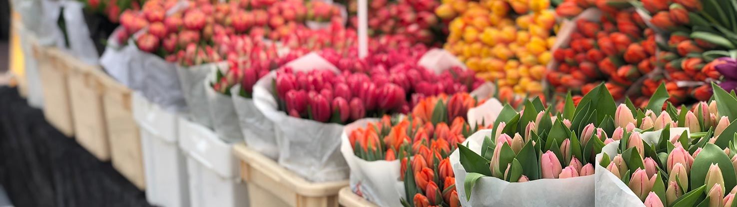 slide_3_amsterdam.jpg - slide_3_amsterdam.jpg