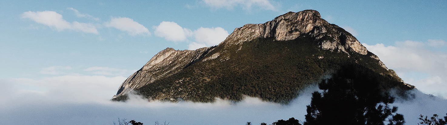 slide_2_nuevo_leon.jpg - slide_2_nuevo_leon.jpg