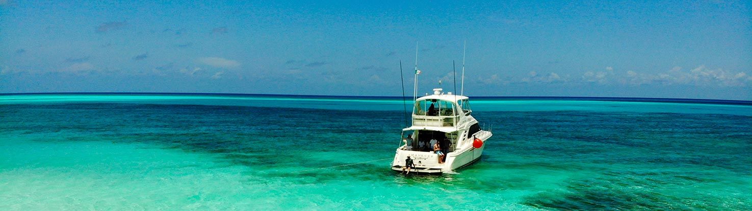 slide_3_cozumel.jpg - slide_3_cozumel.jpg