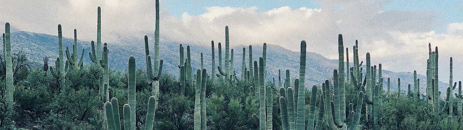 slide_2_arizona.jpg - slide_2_arizona.jpg