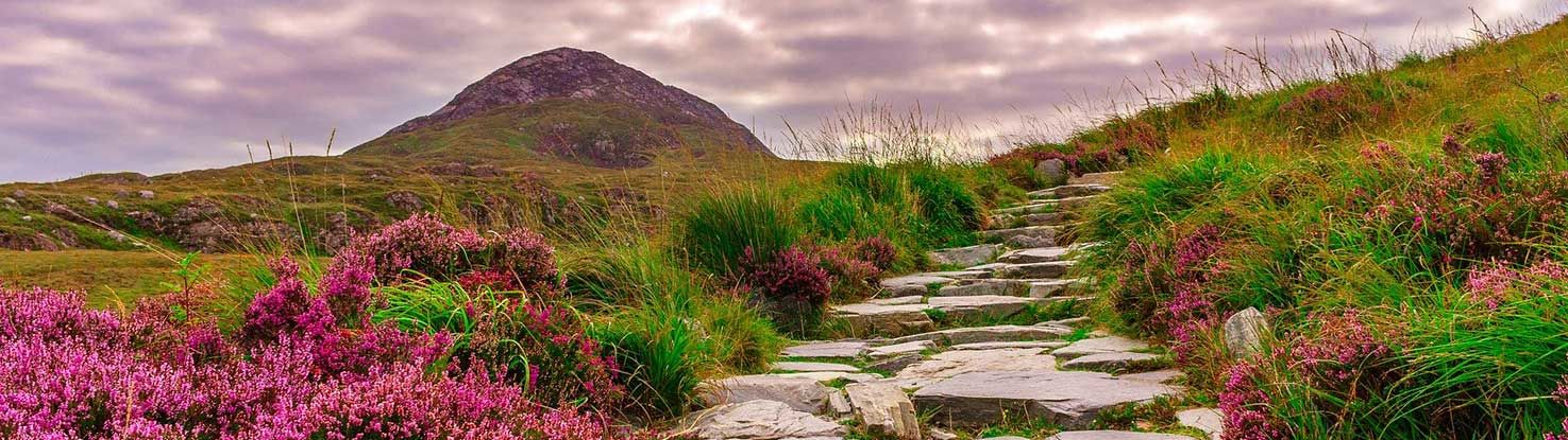 slide_3_irlanda.jpg - slide_3_irlanda.jpg