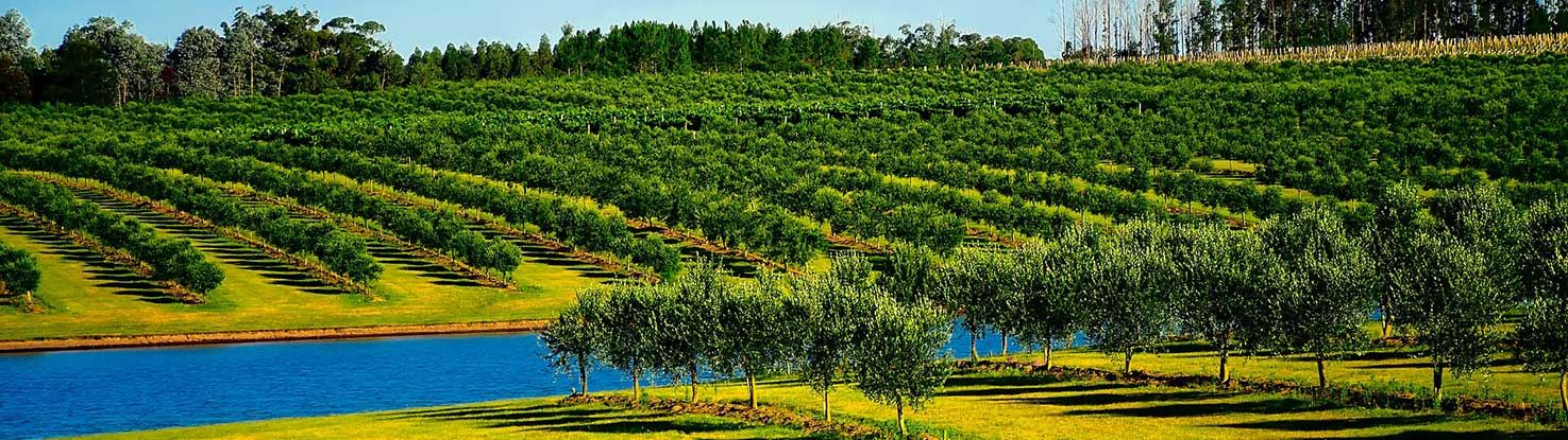 slide_1_uruguay.jpg - slide_1_uruguay.jpg