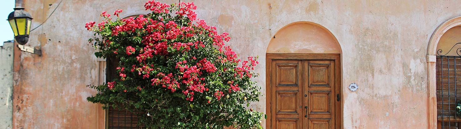 slide_2_uruguay.jpg - slide_2_uruguay.jpg