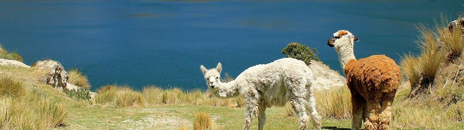 slide_2_ecuador.jpg - slide_2_ecuador.jpg