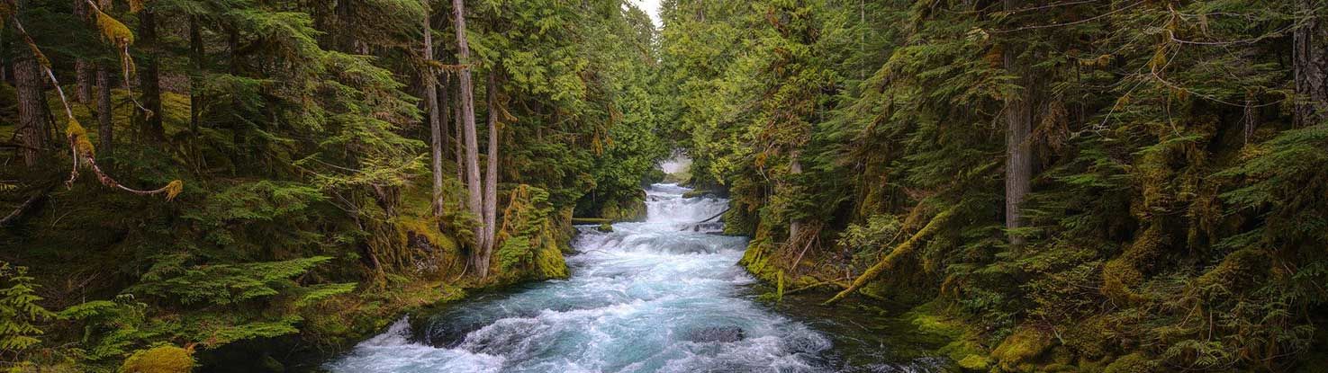 slide_3_oregon.jpg - slide_3_oregon.jpg