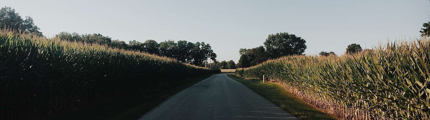 slide_3_kentucky.jpg - slide_3_kentucky.jpg