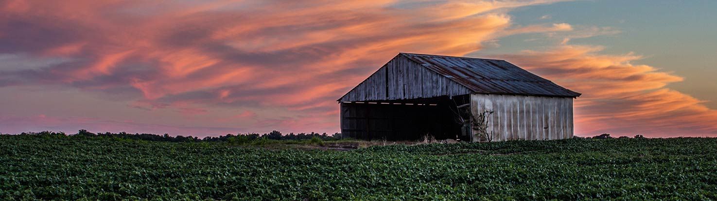 slide_3_indiana.jpg - slide_3_indiana.jpg