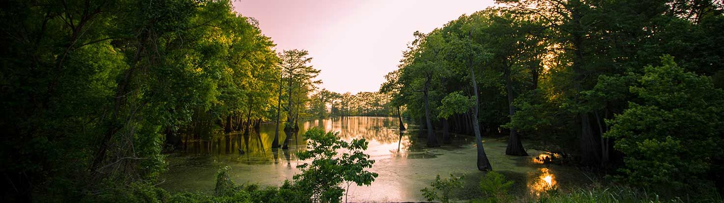 slide_2_mississippi.jpg - slide_2_mississippi.jpg