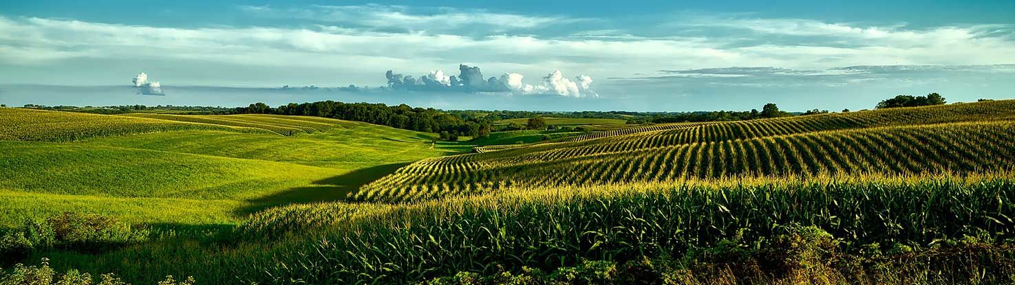 slide_2_iowa.jpg - slide_2_iowa.jpg