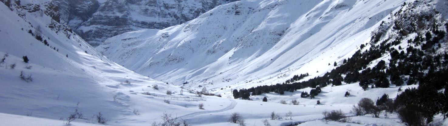 slide_snowshoes_2964841.jpg - slide_snowshoes_2964841.jpg